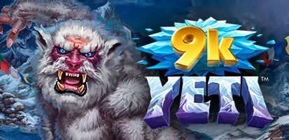 Игровой автомат 9k Yeti